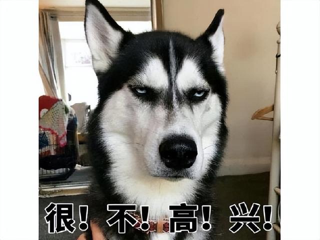 体验了2年的武侠游戏终于上架，玩家却高兴不起来，差评已过半
