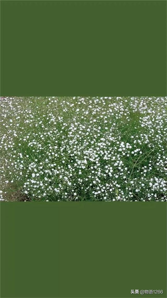 满天星图片高清图片真实,微信唯美满天星头像图片 - 冷求网