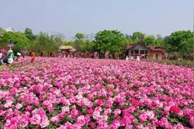 重庆有耍事 | 你有一份“五一”假期攻略~请查收！图片