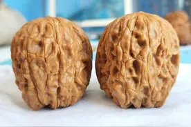 麒麟纹(门墩)——文玩核桃浅谈(6)图片