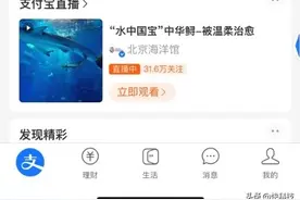 支付宝首页新增直播入口 点击可跳转商家直播间图片