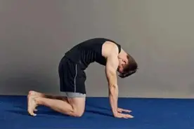 动物流瑜伽热身练习动作图片