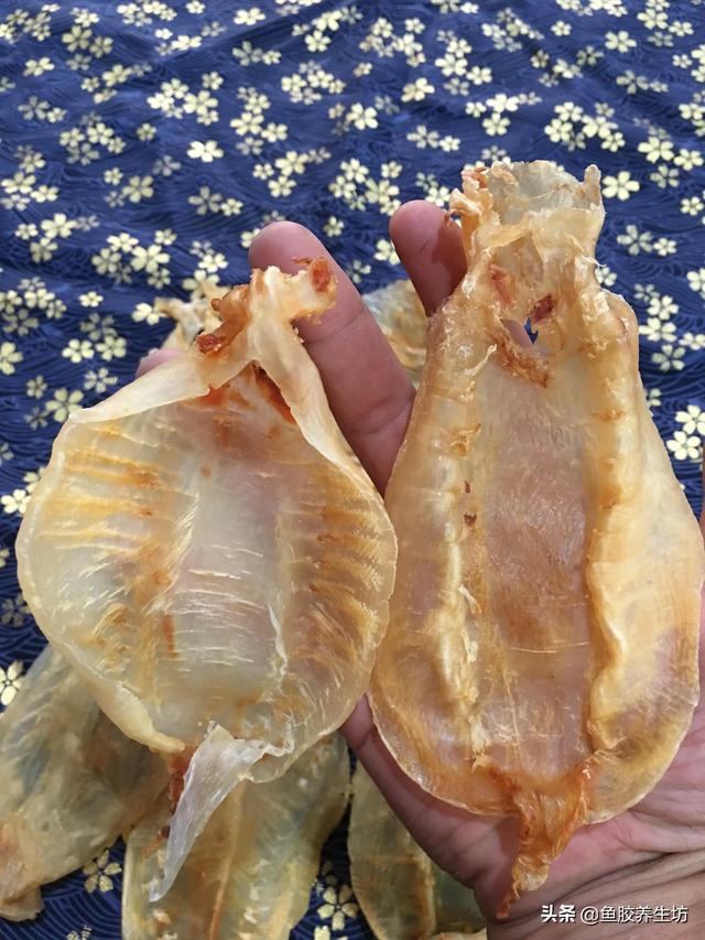 四大赤嘴鱼胶排名 赤嘴鱼胶产地哪里?最好