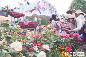 上千种花卉等你来约！武汉2025年世界花园大会今天开幕图片