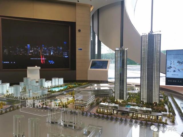 武汉豪宅销量排行榜