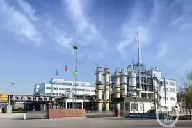 山东市值136亿民企被50亿“贱卖”：资产评估大幅缩水高层曾被抓捕，菏泽市成立专班调查图片