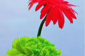 爱你，好累！想你的心，好苦图片