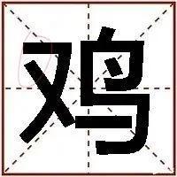 鸡的部首是什么偏旁（为什么鸡鸭都是家禽 但是部首会不同）