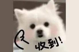 如何用表情包表达收到？图片