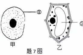 逆袭从2分开始-初中生物会考-细胞的基本结构图片