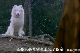 侮辱观众智商的五毛特效：但凡上点心，都不至于做成这样图片