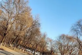做个梦，但愿一切都好图片