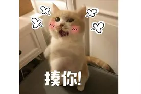 宏光mini痛揍二手车图片