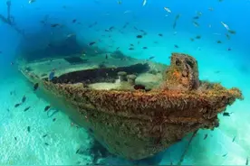 二战时美国击沉日本邮轮，中国打捞上来后，船上40吨黄金不见踪影图片