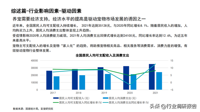 2022���й�������ҵ��չ���棨�����ߡ������ŵꡢ�г�����