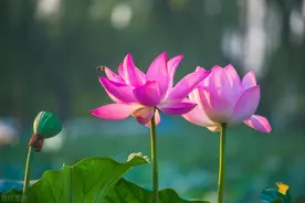 欣赏别人，是一种境界图片