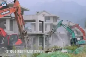 官媒点名秦岭违建别墅、孙力军政治团伙，背后有深意图片