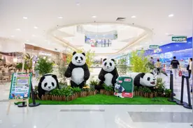 升级"甜蜜鞋履街"、打造"动物园俱乐部"...长宁龙之梦又添新玩法图片