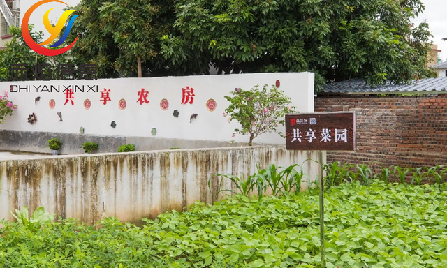 “共享农庄”模式是如何运营的?共享农庄的运营机制有哪些?