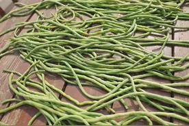 晒干豆角，直接放在太阳下晒口感差容易坏，牢记2点，好吃易保存图片