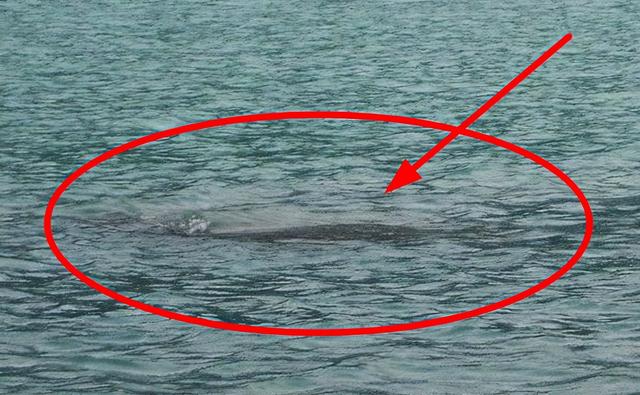 长白山天池水怪之谜