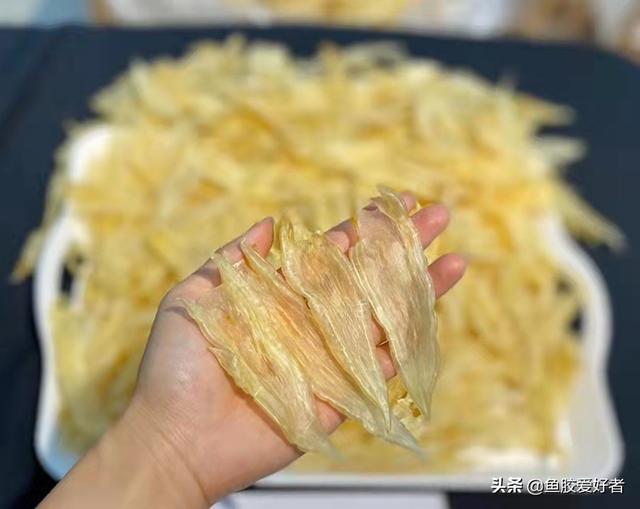 北海鱼胶图片 北海鱼胶图片及功效