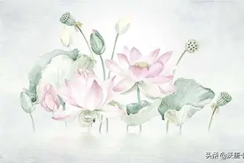 佛教四大吉花之莲花图片