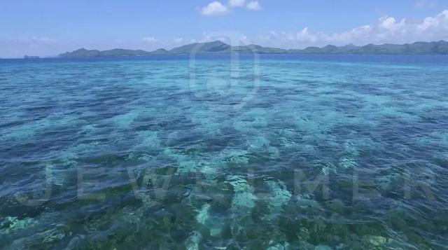 「干货」南洋金珠专题直播精彩集锦,专家教你怎么看南洋珍珠