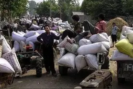 曾经的千年“皇粮”一朝免图片