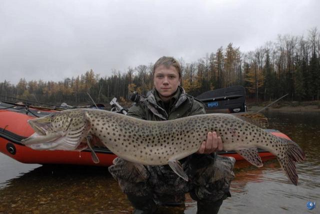 榛戦緳姹熼奔绫讳箣鈥滀笁鍗佷簩鏉傞奔鈥濆浘璋? onerror=