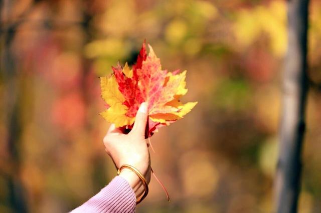 诗经《草虫》：晓看天色暮看云，行也思君，坐也思君