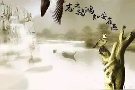 燕雀安知鸿鹄之志，鸿鹄指的是什么鸟？图片