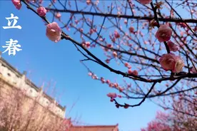 后天立春，建议：少吃猪肉和羊肉，多吃3种“生发”菜，护好阳气图片
