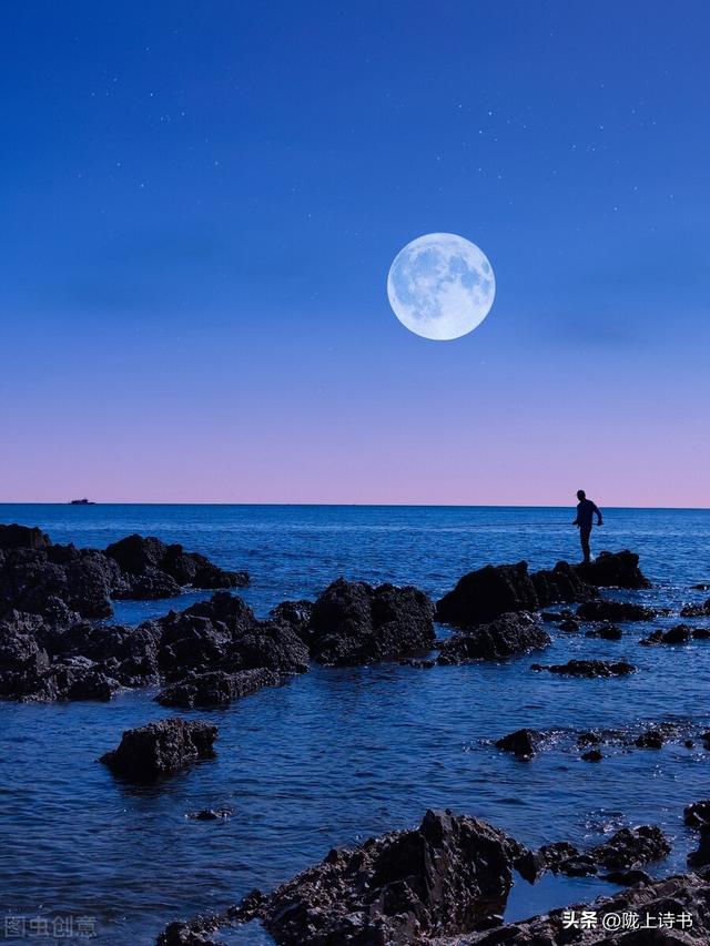 明月挂在树梢上,夜风絮絮的吹过,寂静的晚风中,我似乎能听见落花的
