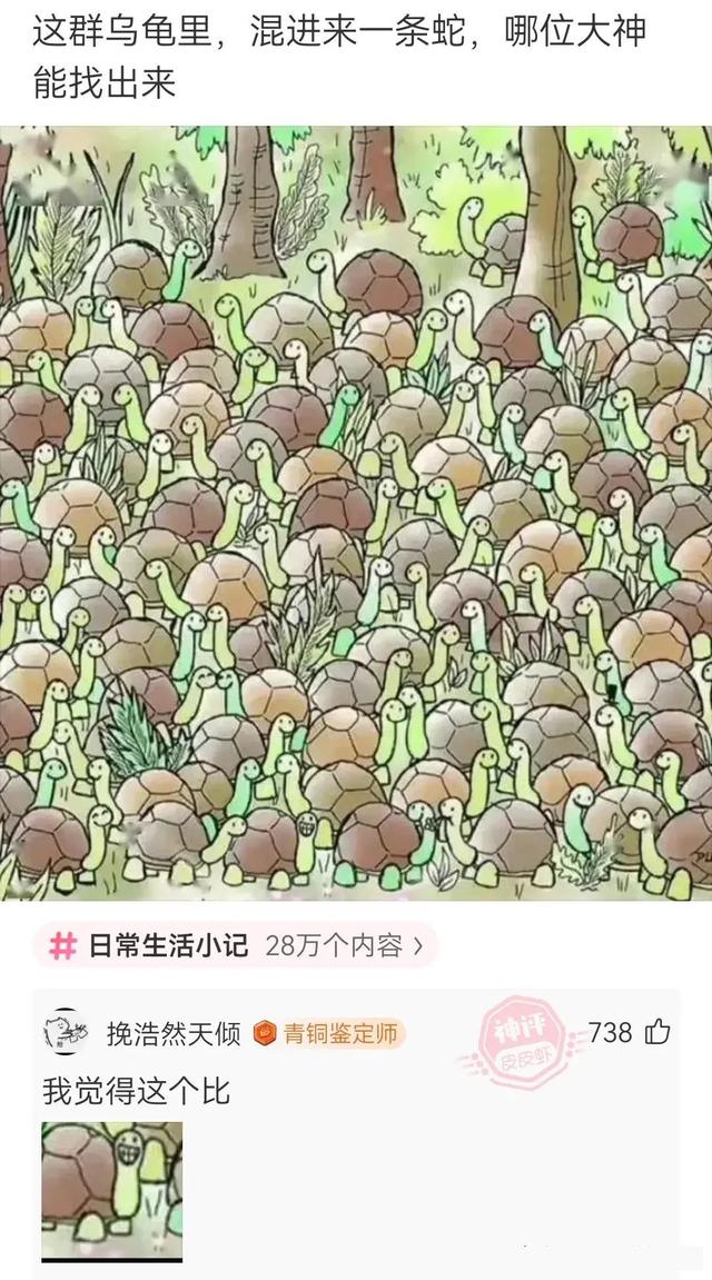 媳妇出差发来照片，这下真的绿了，实锤了兄弟挺住啊，哈哈哈