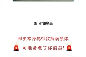 赶紧看看家里有没有这5种小粒粒，看见赶紧弄死！图片