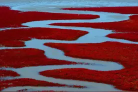 真实的东北，到底什么样？图片