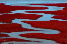 真实的东北，到底什么样？图片