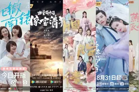 华谊去年最赚钱的是——《北辙南辕》图片
