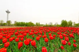长治，“真香”！图片