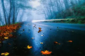 10首精彩的七律，用得是平水韵的同一个韵部，该韵部最受诗人喜爱图片