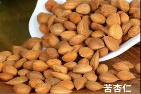 每天学习一味中药——苦杏仁图片