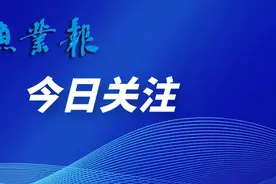 一个长江干流非法捕捞团伙在江苏张家港市落网图片