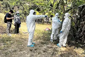 禽流感蔓延至25个国家和地区，专家：我们已有相对成熟的疫苗图片