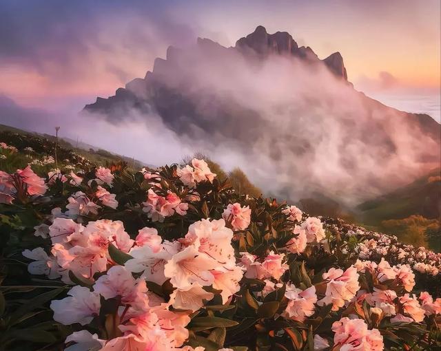 文案 | 适合发朋友圈的高级文艺感短句文案