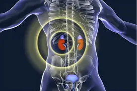 人体可有可无的5大器官，即使被“拿掉”了，也不影响正常生活？图片