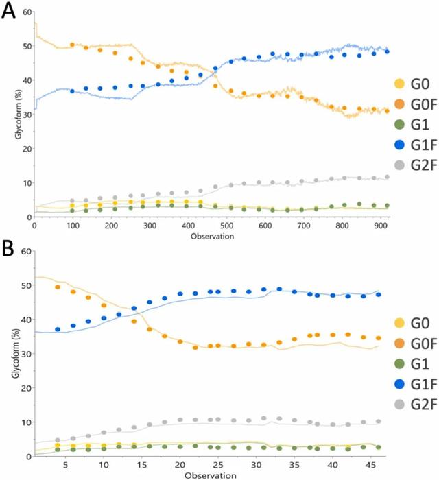 基于拉曼光谱监测高密度细胞灌流培养中的氨基酸和抗体N-糖基化