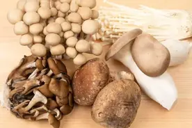 各种菇类的冷冻保存方法！冷冻后更好吃也更营养图片