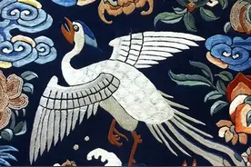 快来当“衣冠禽兽”图片