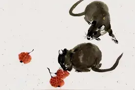 农历6月起属鼠、属牛、属虎运势提点，属虎福星照耀，喜事降临图片